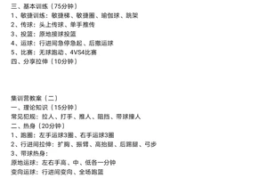  如何通过篮球集训提升比赛表现？——两种高效策略的比较与推荐